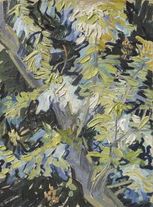 Acacia in Flower, c.1889 by Vincent van Gogh
